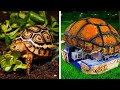 DIY Cozy Houses For Turtles, Birds, And Puppies