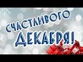 Счастливого декабря! С первым днем зимы!