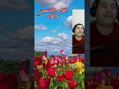 الفل و الياسمين و الورد طرب ورد اكسبلور صباح الورد صباح الخير اغاني الفنان أديب غريواتي غزة