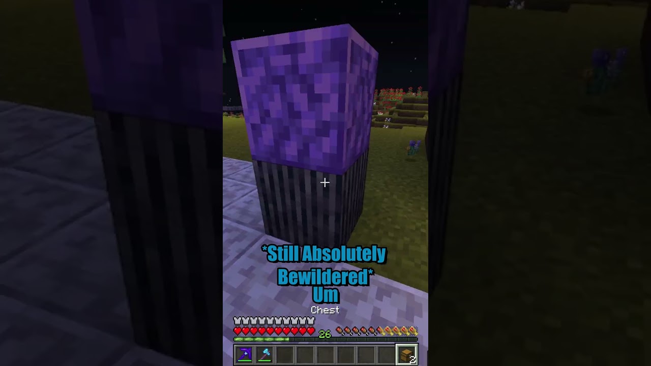Hallow died on my Pigment table in the Unknown SMP!