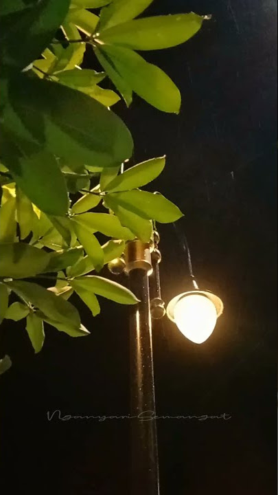 Hujan, Lampu Jalan & Kenangan Borobudur