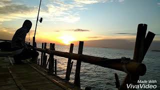 Lily ,,Alan Walker Versi Mancing Bagan Mania....