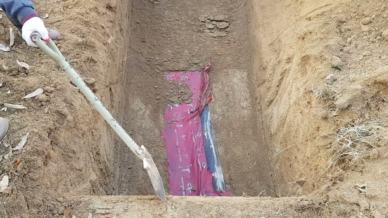 선친묘 파묘 장면을 보고 넋이 나간 자손들010-2492-2191