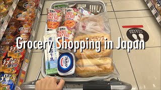 Grocery Shopping Trips in Japan 🛒 Summary of Late October Shopping 🎵 screenshot 4