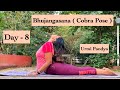 Day  8 bhujangasana  cobra pose  10 days10 yoga asanas  urmi pandya