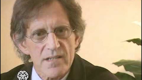 Stulberg, Joe: Successful Mediation Techniques in Complex Disputes - Mediate.com Video