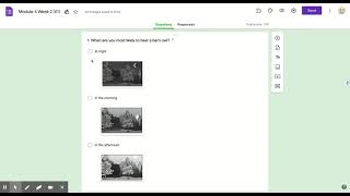 Module 4 Week 2 3/11 - Google Forms