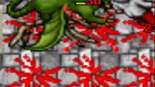 Tibia Celesta Dragon