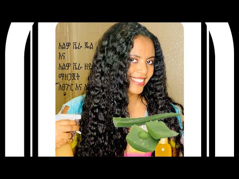 ቪዲዮ: አልዎ እንዴት እንደሚሰራጭ? ቤት ውስጥ እንዴት እንደሚተከል? ሥሩ ሳይኖር ስኪን እንዴት እንደሚተከል? አንድ ግንድ እንዴት እንደሚነቀል? ቅጠል እና የዘር ማሰራጨት