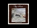 Tiny mouse  little ones journey 2019 comfy synth ambient