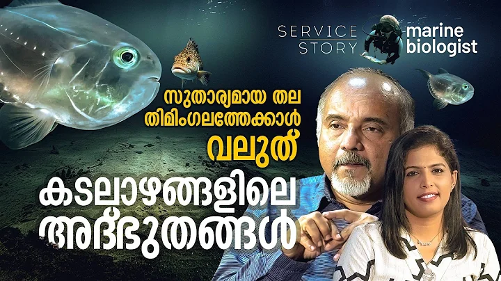 തിമിംഗിലകുഞ്ഞുങ്ങൾ പാലുകുടിക്കുന്നതെങ്ങനെ, കടലിലെ അദ്ഭുത കഥകളുമായി marine biologist | Service Story thumbnail