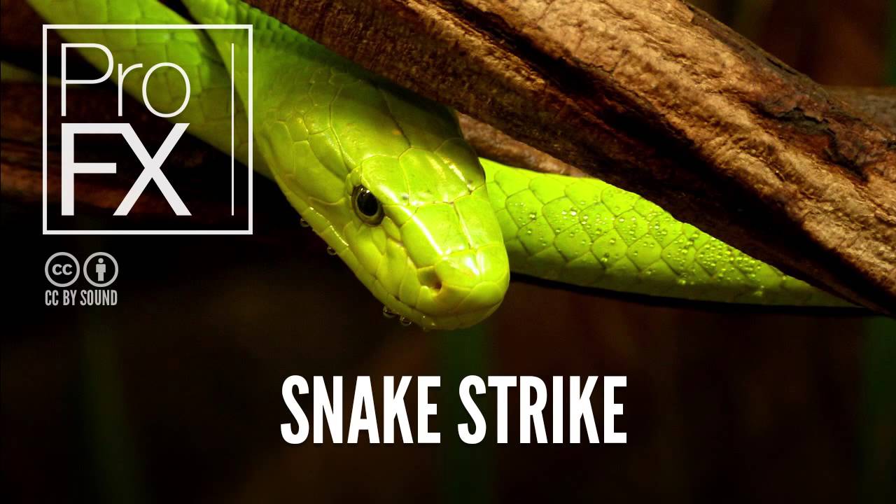 snake hiss sound effect