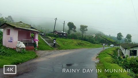 Rainy Day Walk through the Tea Estate Roads in Munnar, South India | Relaxing ASMR Rain Sounds
