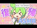 【ASMR】お久しぶりの耳かき癒し便り、眠れぬ夜にずんだもんがそっと寄り添うのだ Ear Massage / Whispeing