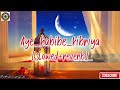 Aye habibe kibriya  slowed and reverb  muslim page 02  new beautiful nasheed 2024  new naat