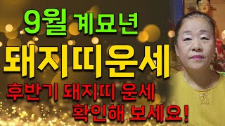 2023 계묘년 돼지띠운세 9월 후반기 돼지띠운세 확인해보세요!