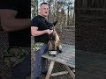 Why MOST People Should NEVER Own a Belgian Malinois!