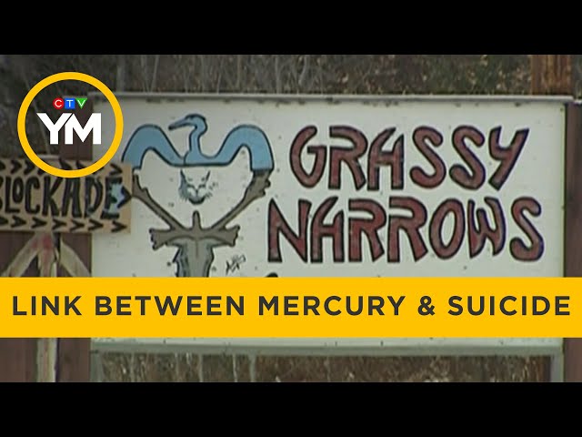 Link between youth suicide attempts and mercury exposure | Your Morning class=