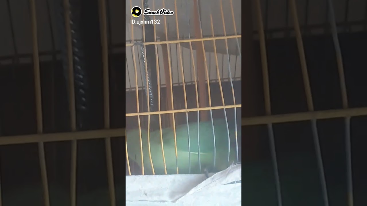 Amir Hussain my mithou warid