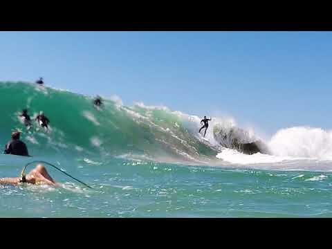 SHAUN HARRINGTON SNAPPER