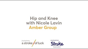 Amber Group - Hip and Knee with Nicole Lavin
