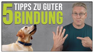 Sofort bessere BINDUNG!  5 Tipps, für eine gute Beziehung zwischen Mensch und Hund