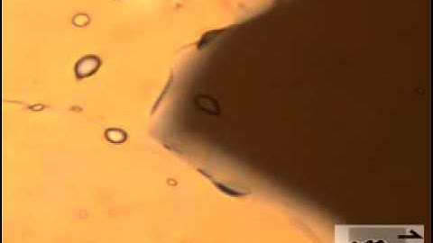 Grain boundary migration in see-through experiments (Structural Geology analogue experiments)