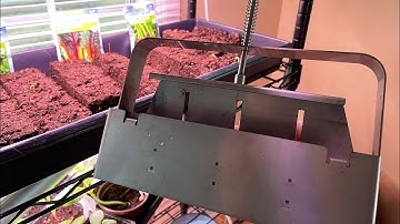 Soil Block Maker . How I Water the Seedlings
