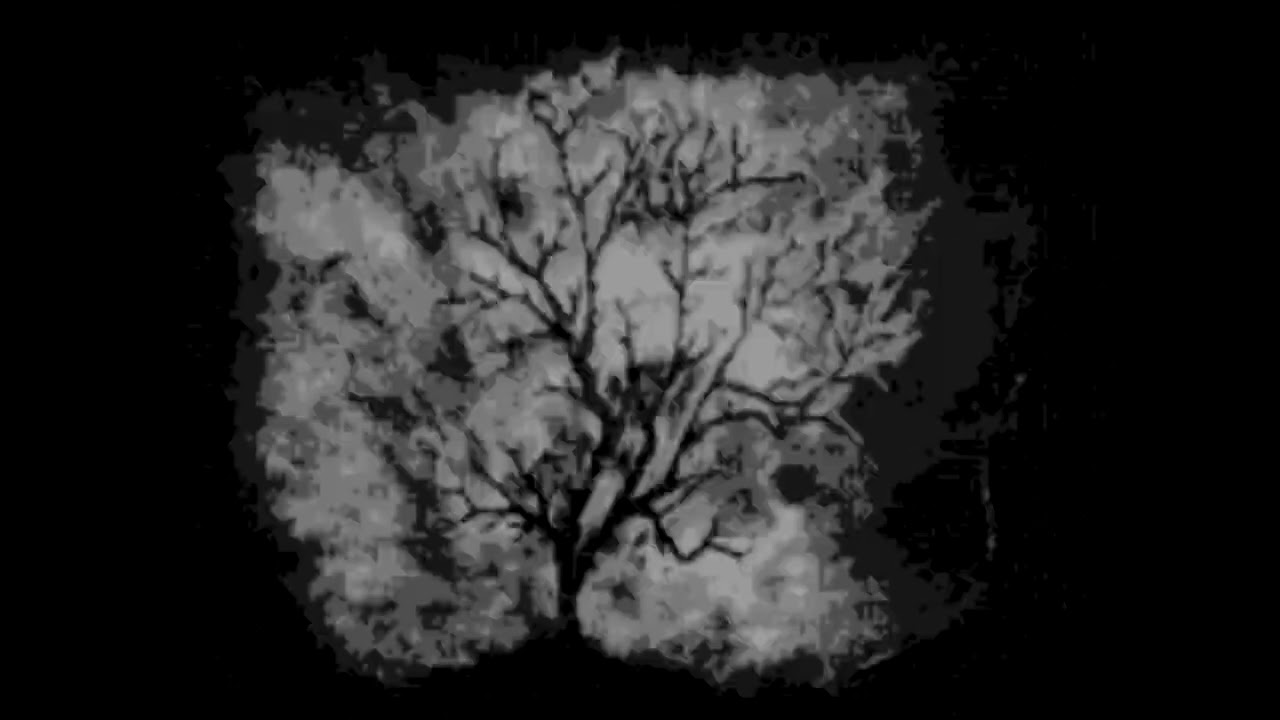 [FREE FOR PROFIT] GHOSTMANE X SCARLXRD TYPE BEAT 