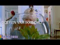 Doffen var ikke dau | Det enkle er ofte det beste | REMA 1000