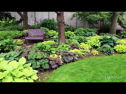 Video: Tuinlaagte met plante - wenke vir die skep van 'n gelaagde tuin