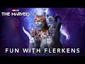 🔴 The Marvels | Fun With Flerkens: CatCafe Lounge LIVE 🔴