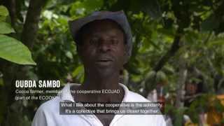 Life on a Fairtrade Cocoa Farm