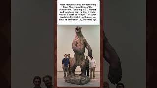 Arctodus: The Largest Bear in History 🐻 #history