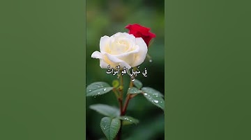 ولا تقولوا لمن يقتل في سبيل الله أموات" اتلاوات قصيرة تلاوات خاشعة مقاطع دينية حالات واتس اب