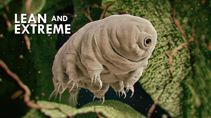 Tardigrades: The Most Resilient Animals in the Uni...