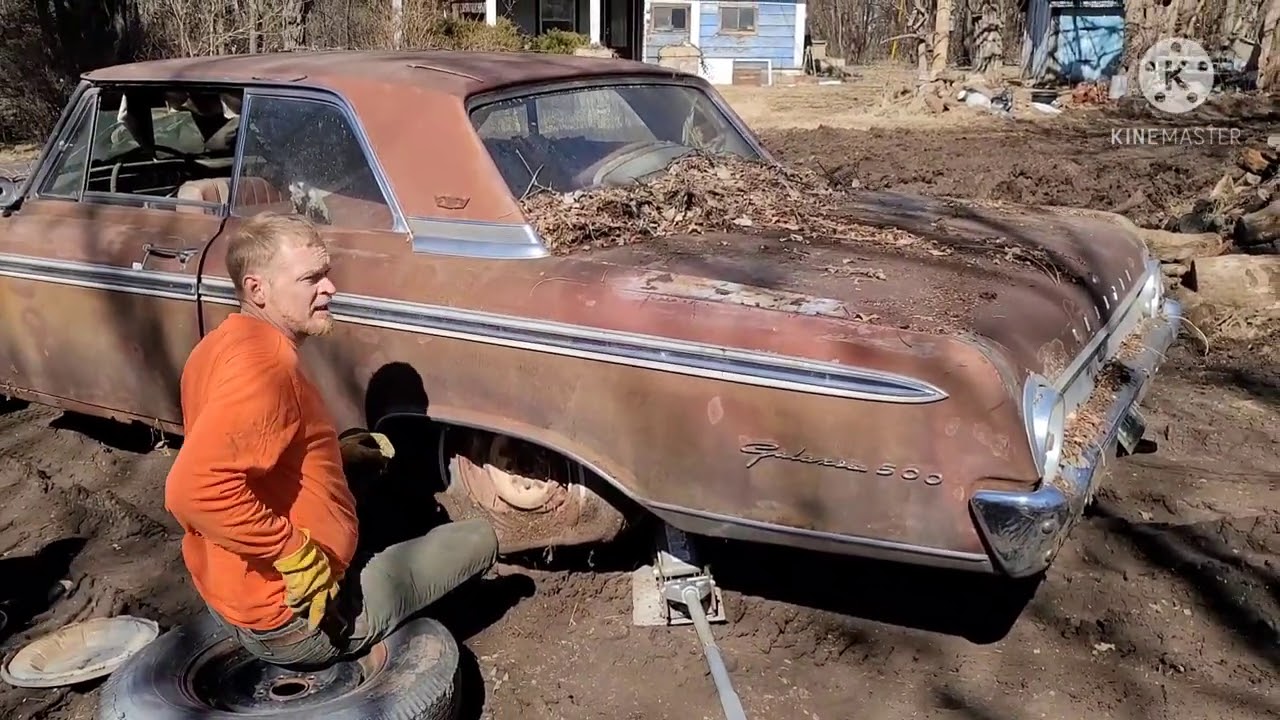 Beautiful Pictures of Priceless Classic Cars Found Abandoned in