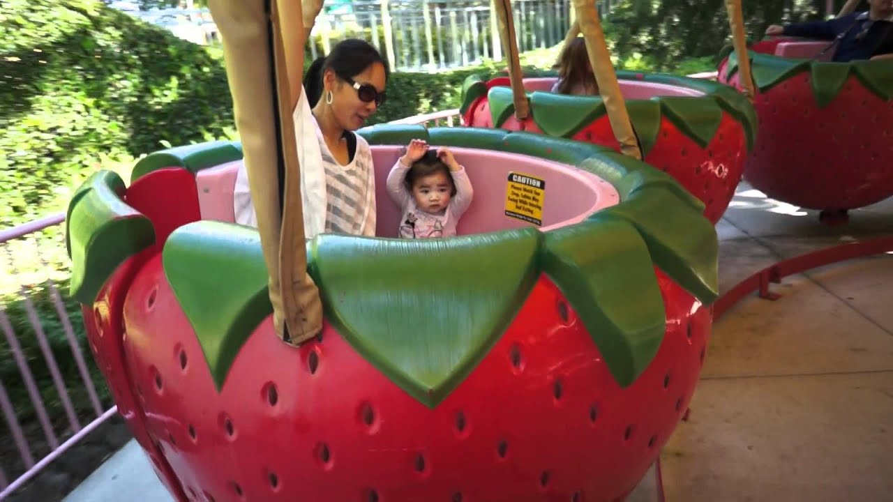 Gilroy Garden strawberry YouTube
