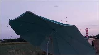 1 Stunde Flugpause Dank Torkel Käfer Invasion