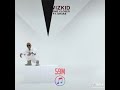 Wizkid Come Closer Ft Drake Total Views 