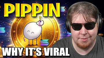 Is PIPPIN a Narrative Experiment or a Real Community Project?