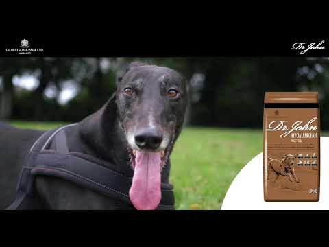 Video: Greyhound Iti Gipoallergen, Sog'liq Va Umr Ko'rish Muddati
