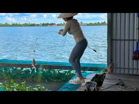 Câu Cá Trên Bè Về Thả Ao Nhà | Câu Cá Sông Tự Nhiên | VỸ HÂN FISHING
