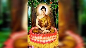 Thumbnail of Ehipassiko "Come and See" Lyric