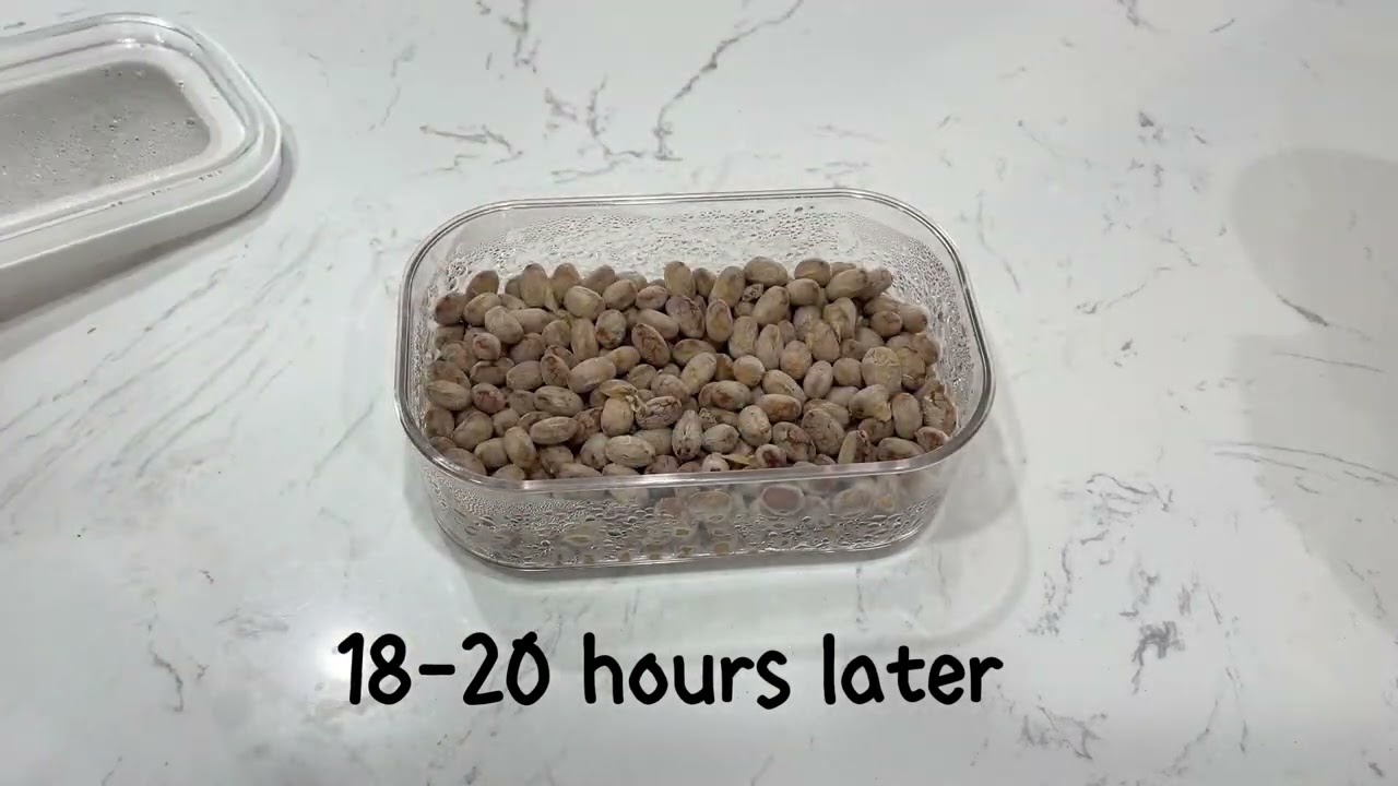 FermentPro Natto Recipe | Easy Homemade Natto with the Press of a Button