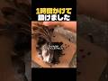 助けられた鳥が、飛ばなかった理由