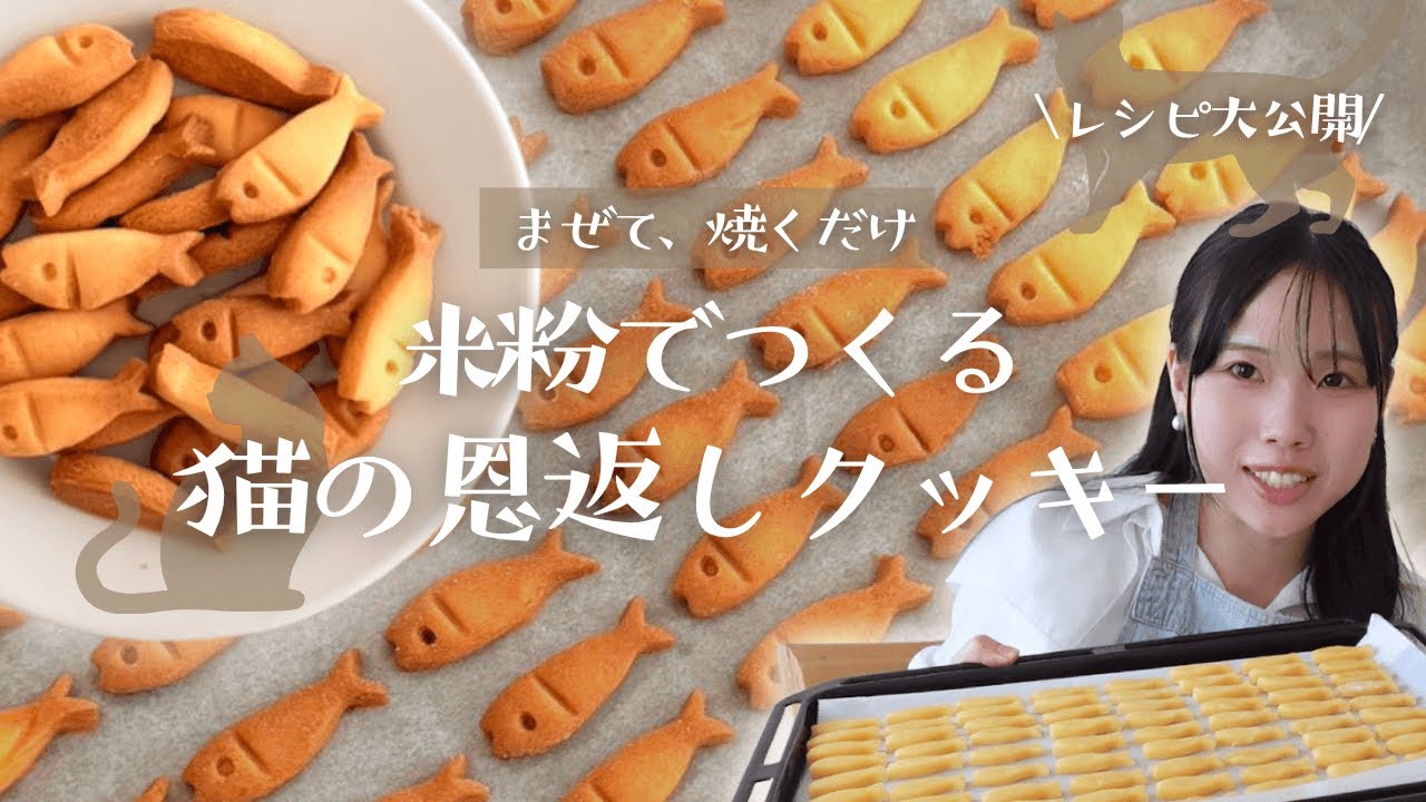 【超簡単】米粉でつくる猫の恩返しクッキーの作り方｜レシピまで大公開🐈🍪