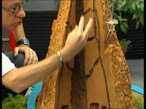 Vidéo: Quelle est la gravité des termites?