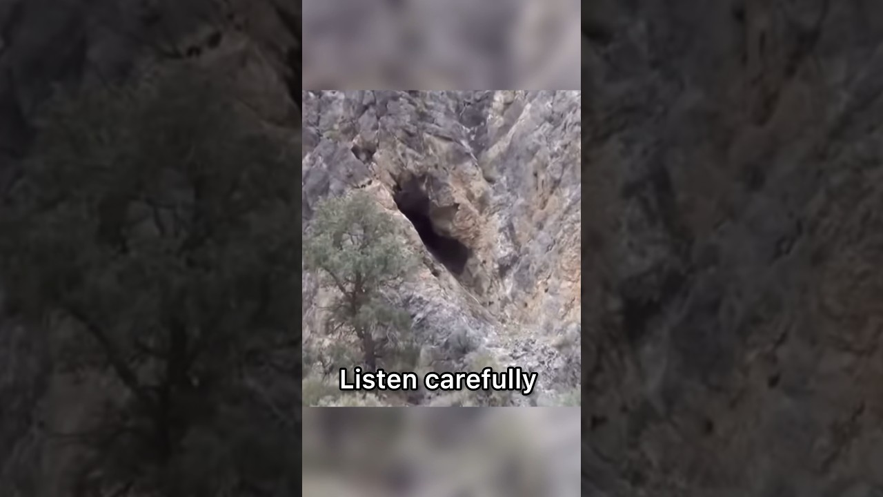 Creepy Sighting By Kenny Veach ? 