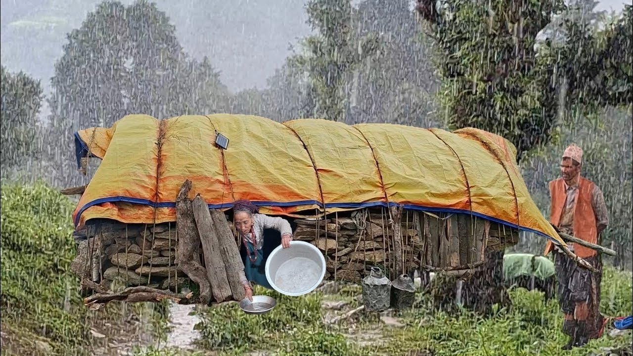 Best Life in A Himalayan Shepherd’s During the Rainy Day | Most Relaxing | Village Documentary Video